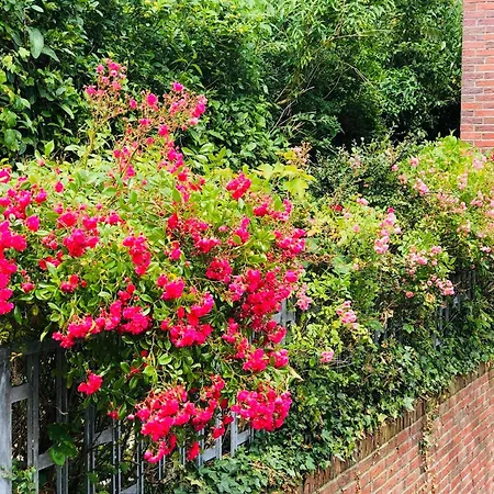 Nordsee Terrasse דירה הוקזיל